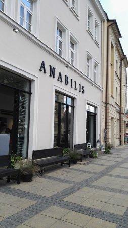 Anabilis